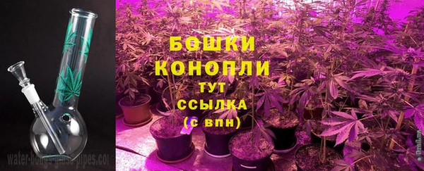 молекула духа Корсаков