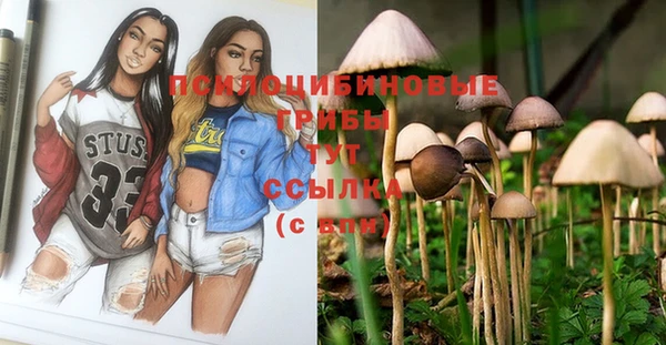прущие крисы Краснотурьинск