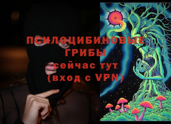 a pvp Краснослободск
