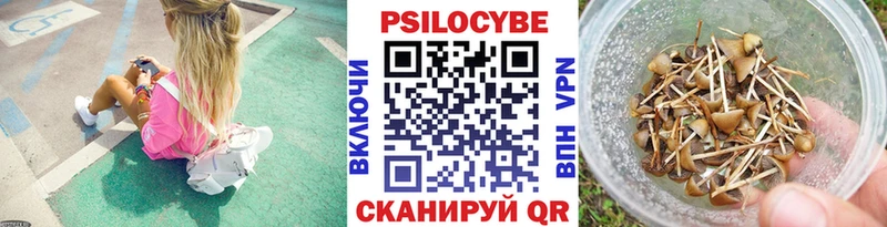 Галлюциногенные грибы мухоморы  omg как войти  Малгобек 
